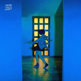 Cover image for Control De Daños