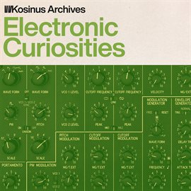 Cover image for Electronic Curiosities