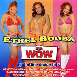 Imagen de portada para Mr. Wow