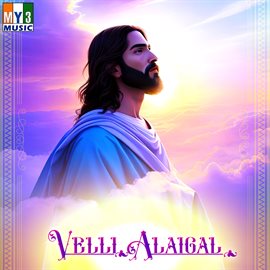 Cover image for Velli Alaigal