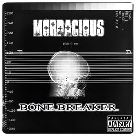 Cover image for Bone Breaker