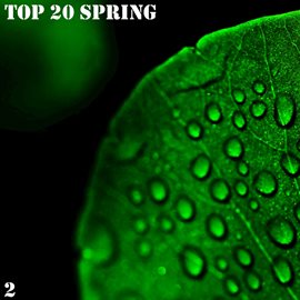 Cover image for Top 20 Spring, Vol. 2