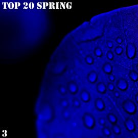 Cover image for Top 20 Spring, Vol. 3