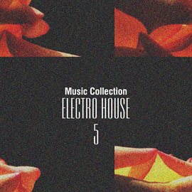 Cover image for Music Collection. Electro House, Vol. 5
