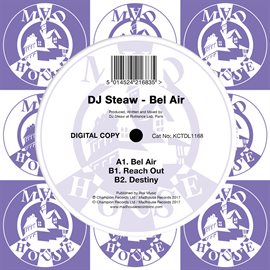 Cover image for Bel Air
