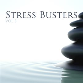 Cover image for Stressbusters Vol 3