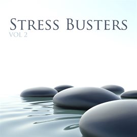 Cover image for Stressbusters Vol 2