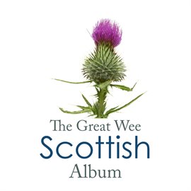 Cover image for The Great Wee Scottish Album