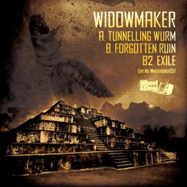 Imagen de portada para Tunneling Wurm / Forgotten Ruin / Exile