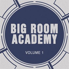 Cover image for Big Room Academy