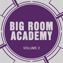 Imagen de portada para Big Room Academy, Vol. 2
