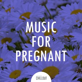 Cover image for 2017 Music for Pregnant Women: Soft Relaxing Chill