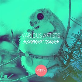 Cover image for Summer Tunes - House, Tech House, Techno, Vol. 1