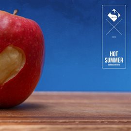 Imagen de portada para Hot Summer