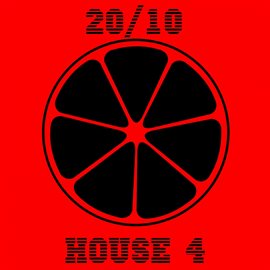Cover image for 20/10 House, Vol. 4