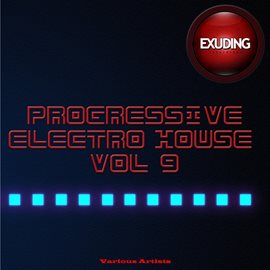 Cover image for Progressive Electro House, Vol. 9