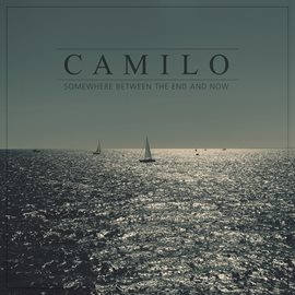 Cover image for Somewhere Between the End and Now