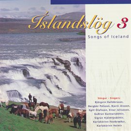 Cover image for Íslandslög 3