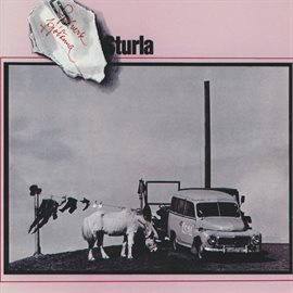 Cover image for Sturla