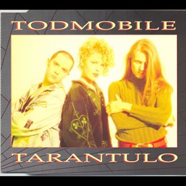 Cover image for Tarantulo
