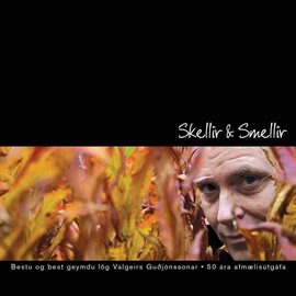 Cover image for Skellir & smellir