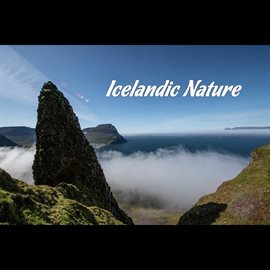 Cover image for Icelandic Nature