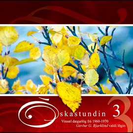 Cover image for Óskastundin 3