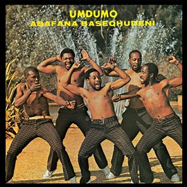 Cover image for Umdumo