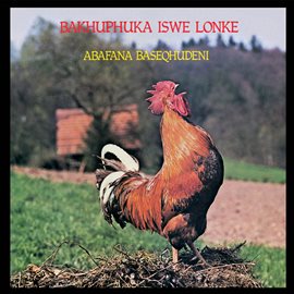 Cover image for Bakhuphuka Izwe Lonke
