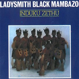 Cover image for Induku Zethu