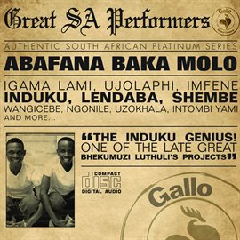 Cover image for Great South African Performers