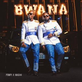 Imagen de portada para Bwana