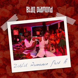 Imagen de portada para Zulu Romance