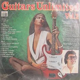Imagen de portada para Guitars Unlimited, Vol. 2