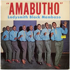 Cover image for Amabutho