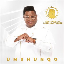 Cover image for Umshunqo