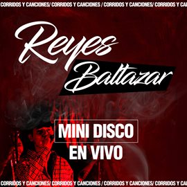Cover image for Mini Disco