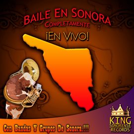 Cover image for Baile En Sonora