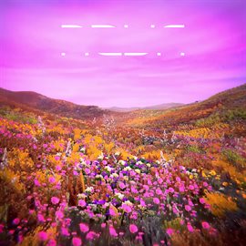 Cover image for NOVA Pure