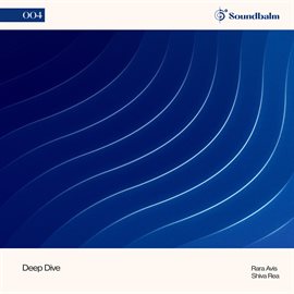 Imagen de portada para Deep Dive