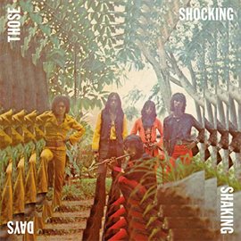 Cover image for Those Shocking Shaking Days: Indonesian Hard, Psychedelic, Progressive Rock and Funk 1970-1978