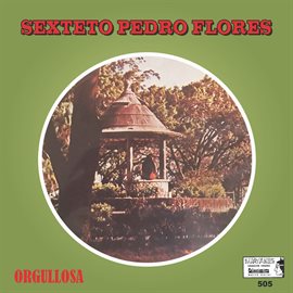 Imagen de portada para Orgullosa