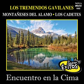 Cover image for Encuentro En La Cima-Super Éxitos