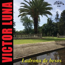 Cover image for Ladrona De Besos