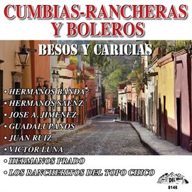 Cover image for Besos Y Caricias
