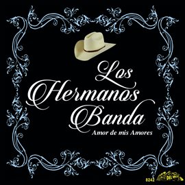 Imagen de portada para Amor De Mis Amores
