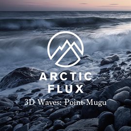 Cover image for 3D Waves: Point Mugu