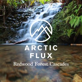 Cover image for Redwood Forest Cascades