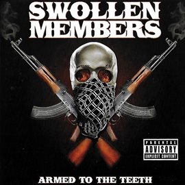 Imagen de portada para Armed to the Teeth