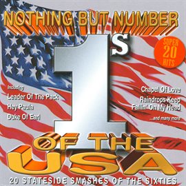Cover image for Nothing but Number 1's of the USA